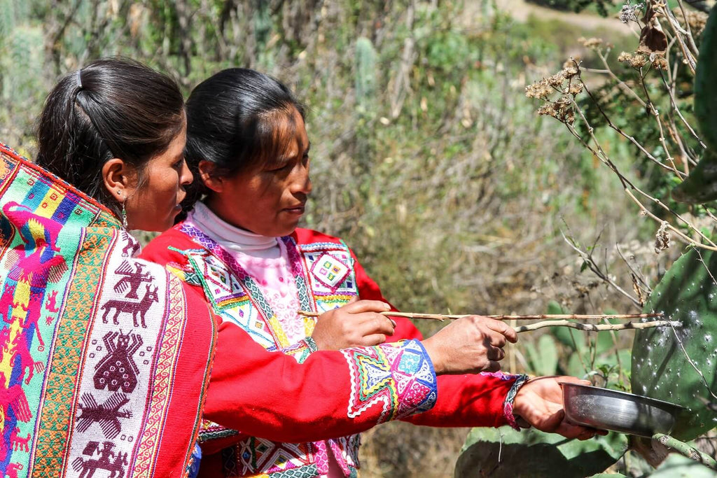 The 3 Pillars of Sustainability: Part I - Environmental aspects of sustainability