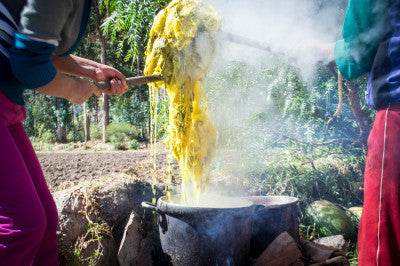 Culture & Color: Cataloguing Andean Dye Plants