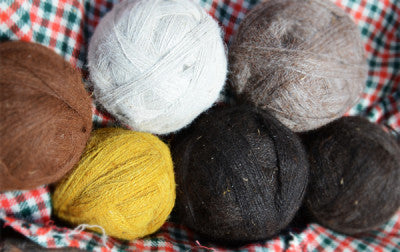 Sacred Valley Color Palettes