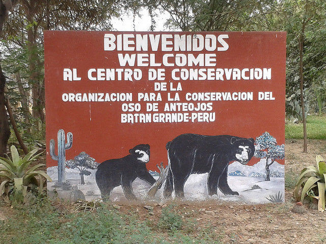 Spotlight On: The Spectacled Bear Conservation Society