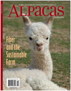 “Living History in the Andean Alpaca” an Article by Adam Foster Collins & Carolina Reyes
