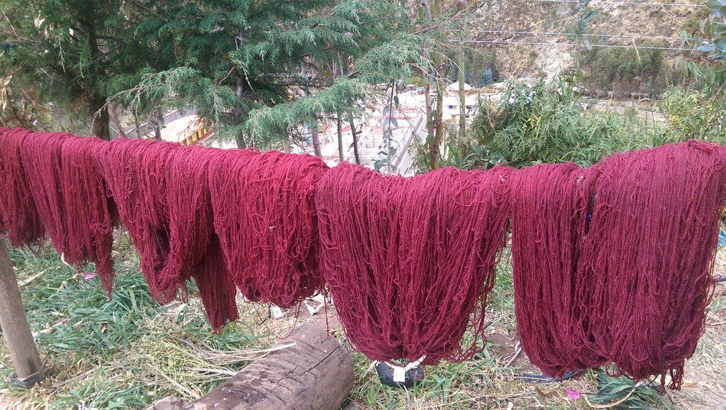 Dyeing in Totora